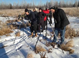 Birders in a field with tripods.