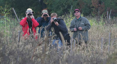 Several birders in a field looking through binoculars and cameras.