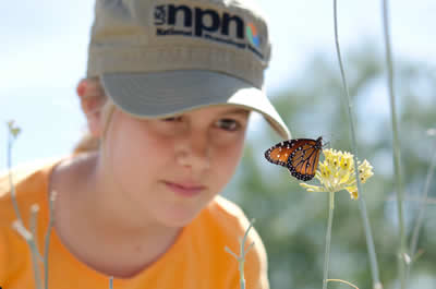 A little girl with a baseball cap kneeling down on the ground looking at a butterfly sitting on top of a flower.