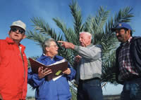 Four people standing in front of a palm tree talking. One has a notebook.