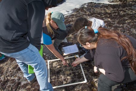 NOAA Summer Spotlight: LiMPETS! NOAA Summer Spotlight: LiMPETS!