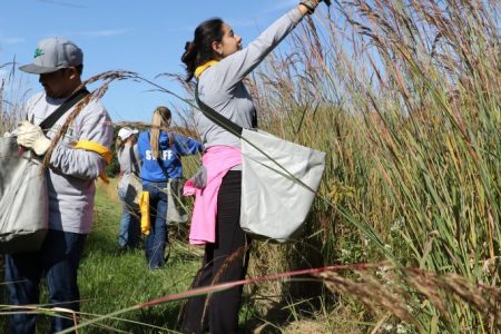 Group of citizen scientists holding butterfly nets.