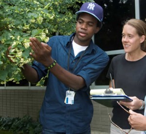 A man showing part of a plant to a woman.