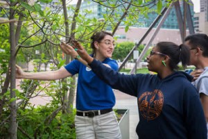 Two women looking at a tree, pointing, and talking.