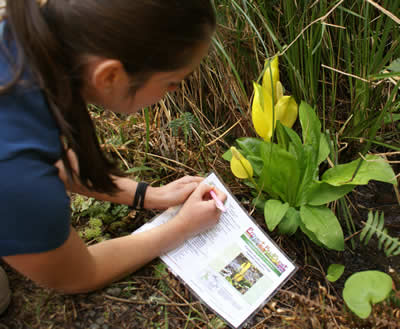 A woman kneeling down near a flower and writing on a piece of paper.