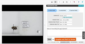 Screenshot of data entry interface for the Smithsonian Transcription Project.