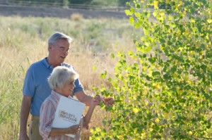 Couple observing poplar