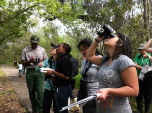 Citizens observing plants through binoculars.