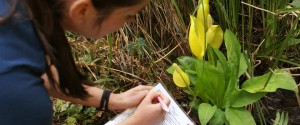 A woman kneeling down near a flower and writing on a piece of paper.