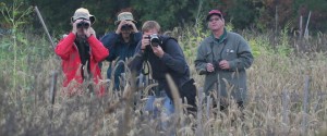 Several birders in a field looking through binoculars and cameras.