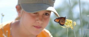 A little girl with a baseball cap kneeling down on the ground looking at a butterfly sitting on top of a flower.