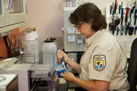 Woman in laboratory processing samples.